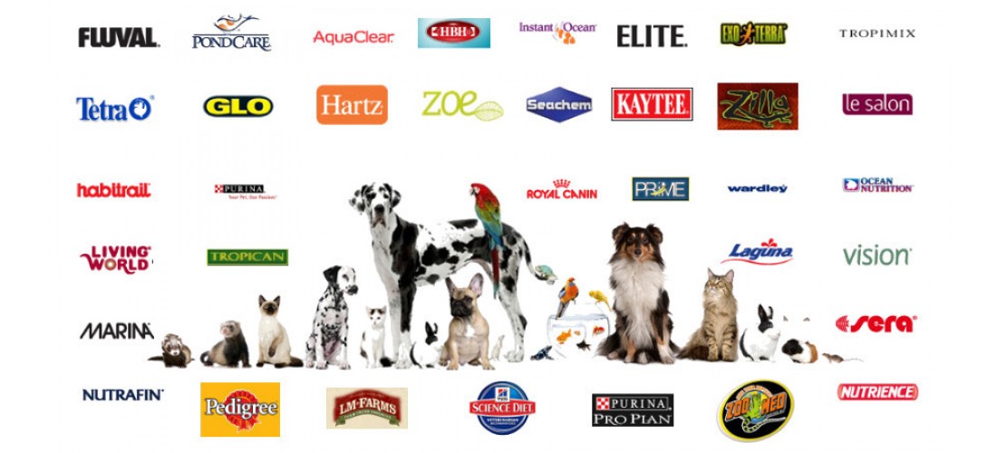 Pet Products and Supplies image.