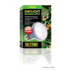Exo Terra Daylight Basking Spot Lamp - R20/75W