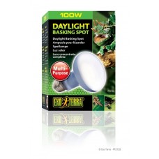 Exo Terra Daylight Basking Spot Lamp - R25/100W image thumbnail.
